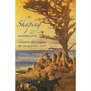 Shaping the Shoreline by Connie Y. Chiang