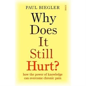 Why Does It Still Hurt by Paul Biegler