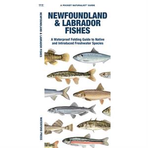 Newfoundland  Labrador Fishes by Matthew Morris