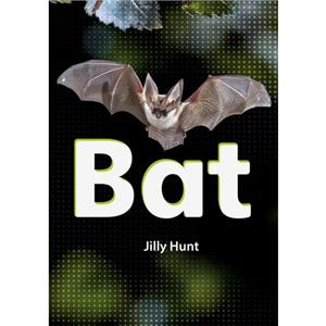 Bat Set 02 by Jilly Hunt