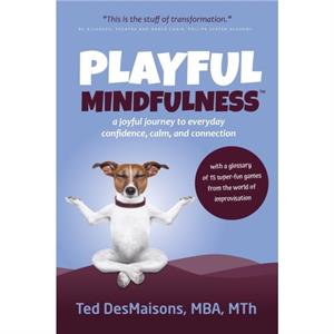 Playful Mindfulness by Ted Desmaisons