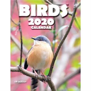 Birds 2020 Calendar UK Edition by Wall Publishing Uk