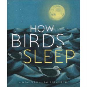 How Birds Sleep by David Obuchowski