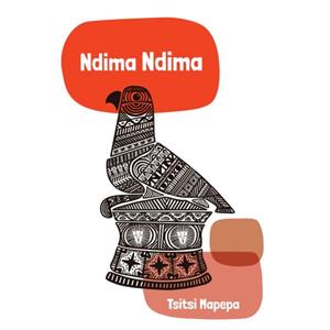 Ndima Ndima by Tsitsi Mapepa