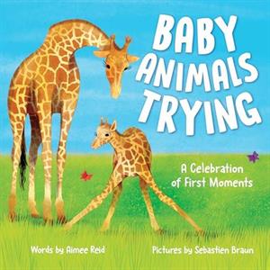 Baby Animals Trying by Aimee Reid