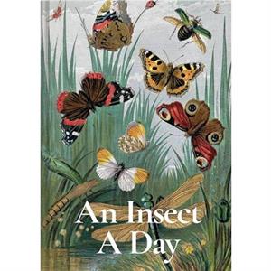 An Insect A Day by Gail Ashton