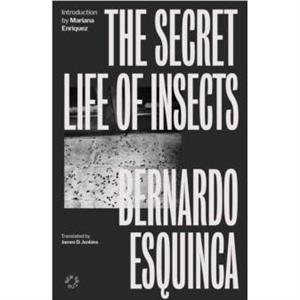 The Secret Life of Insects by Bernardo Esquinca