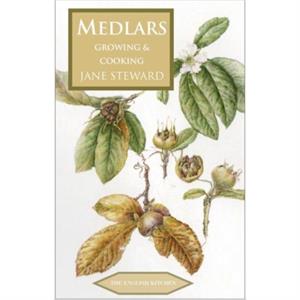 Medlars by Jane Steward