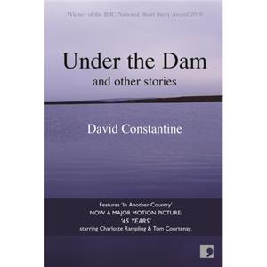 Under the Dam by David Constantine