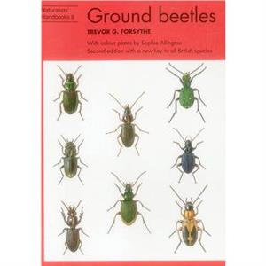 Ground beetles by Trevor G. Forsythe