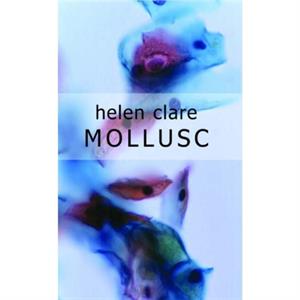 Mollusc by Helen Clare