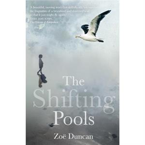 The Shifting Pools by Duncan Zo