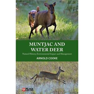 Muntjac and Water Deer by Arnold Cooke