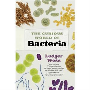 The Curious World of Bacteria by Ludger Wess