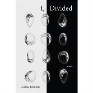 I Divided by Chelsea Dingman