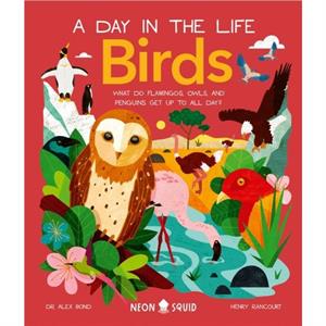 Birds A Day in the Life by Neon Squid