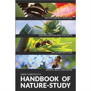 The Handbook Of Nature Study in Color  Insects by Anna B Comstock