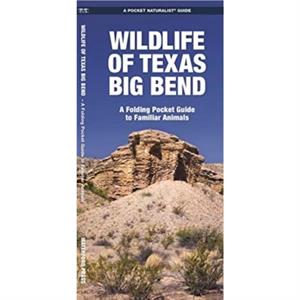 Wildlife of Texas Big Bend by Waterford Press