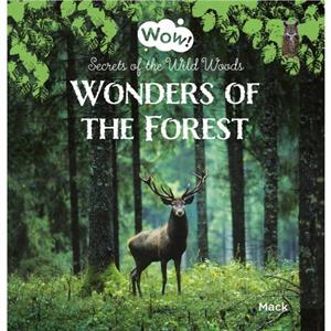 Wonders of the Forest. Secrets of the Wild Woods by Mack Van Gageldonk