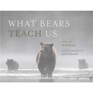 What Bears Teach Us by Sarah Elmeligi