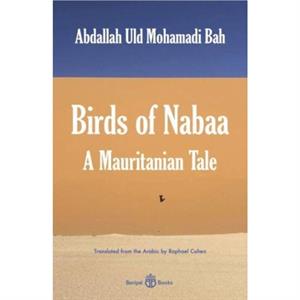 Birds of Nabaa by Abdallah Uld Mohamadi Bah