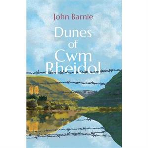 Dunes of Cwm Rheidol by John Barnie