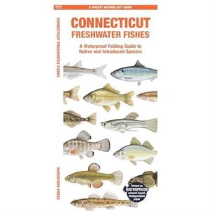 Connecticut Freshwater Fishes by Morris & Matthew & Waterford Press