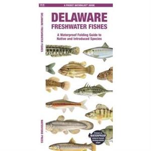 Delaware Freshwater Fishes by Morris & Matthew & Waterford Press