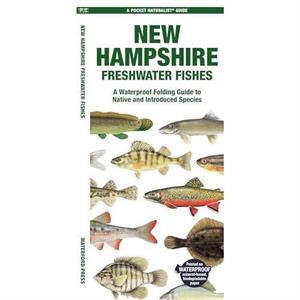 New Hampshire Freshwater Fishes by Waterford Press