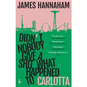 Didnt Nobody Give a Shit What Happened to Carlotta by James Hannaham