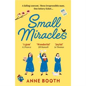 Small Miracles by Anne Booth