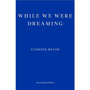 While We Were Dreaming by Clemens Meyer