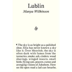 Lublin by Manya Wilkinson