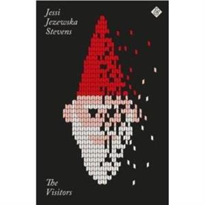 The Visitors Paperback Edition by Jessi Jezewska Stevens