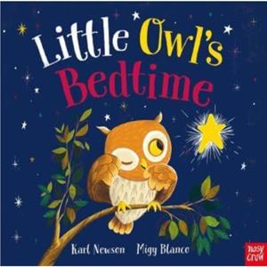 Little Owls Bedtime by Karl Newson