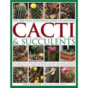 Practical Illustrated Guide to Growing Cacti  Succulents by Miles Anderson