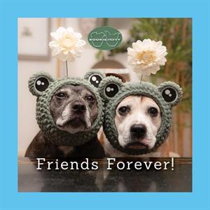 Sookie and Ivy Friends Forever by Jani Oja