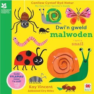 Dwin Gweld Malwoden  I Spot a Snail by Kay Vincent