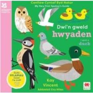 Dwin Gweld Hwyaden  I Spot a Duck by Kay Vincent