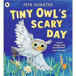 Tiny Owls Scary Day by Petr Horacek