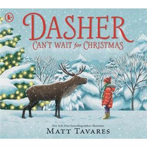 Dasher Cant Wait for Christmas by Matt Tavares