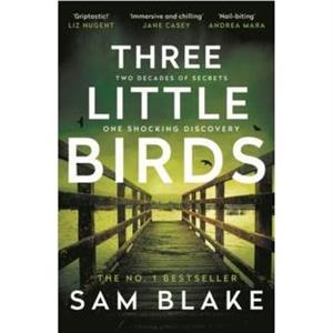 Three Little Birds by Sam Blake