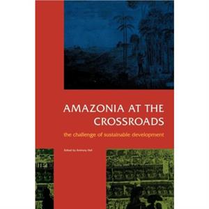 Amazonia at the Crossroads by Edited by Anthony Hall