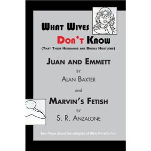 What Wives Dont Know by Alan BaxterS R Anzalone