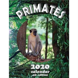 Primates 2020 Calendar UK Edition by Wall Uk