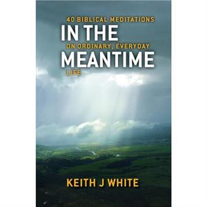 In the Meantime by Keith J. White