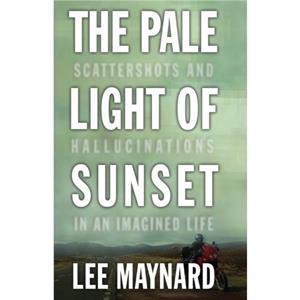The Pale Light of Sunset by Lee Maynard