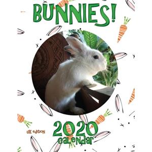 Bunnies 2020 Calendar UK Edition by Sea Wall Uk