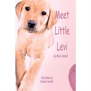 Meet Little Levi by Cassidy ConnellMary Connell