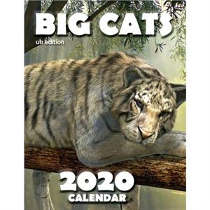 Big Cats 2020 Calendar UK Edition by Wall Publishing Uk